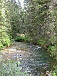 South Fork of Teton Creek