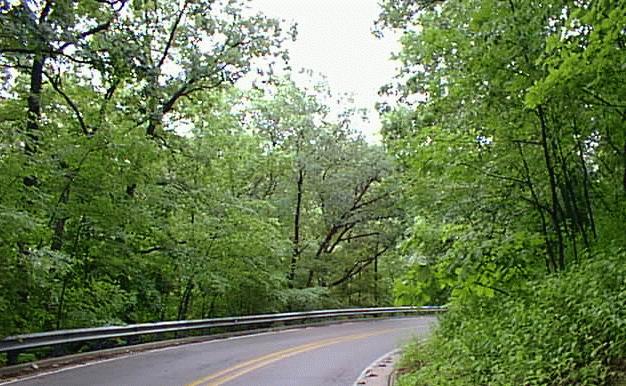 Road along the Illinois