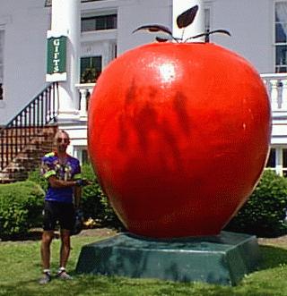 Winchester, the big apple