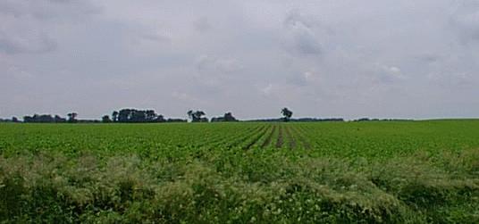 Illinois farmland
